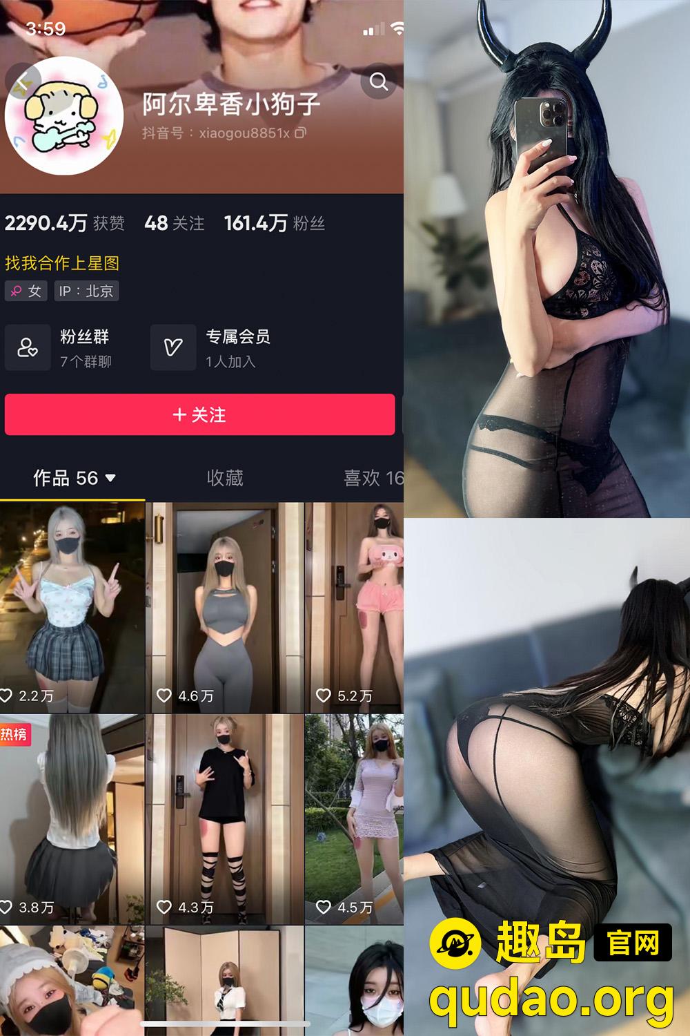 岛遇